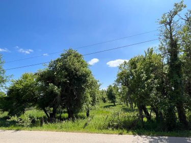 Terrain a batir a vendre Bourguignons 10110 Aube 2205 m2  48150 euros