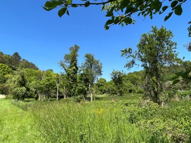 Terrain a batir a vendre Bourguignons 10110 Aube 2205 m2  48150 euros