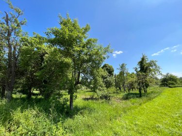 Terrain a batir a vendre Bourguignons 10110 Aube 2205 m2  48150 euros