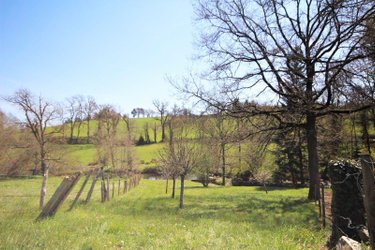propriete a vendre Villefranche-de-Rouergue 12200 Aveyron 383 m2 7 pièces 375300 euros