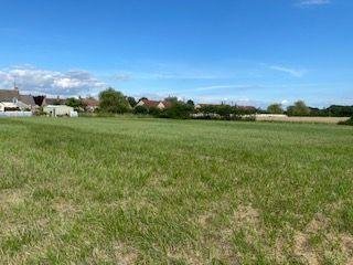 Terrains de loisirs bois etangs a vendre Vendoeuvres 36500 Indre 960 m2  18400 euros