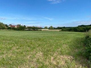 Terrains de loisirs bois etangs a vendre Vendoeuvres 36500 Indre 960 m2  18400 euros