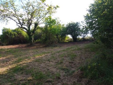 Terrain a batir a vendre Néris-les-Bains 03310 Allier 2122 m2  23360 euros