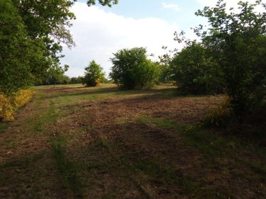 Terrain a batir a vendre Néris-les-Bains 03310 Allier 2122 m2  23360 euros