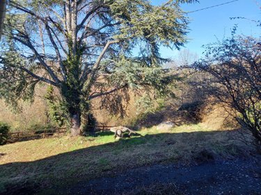 Maison a vendre Naucelles 15250 Cantal 230 m2 9 pièces 284400 euros