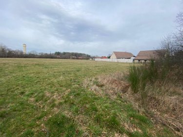 Terrains de loisirs bois etangs a vendre Theillay 41300 Loir-et-Cher 31200 m2  126480 euros