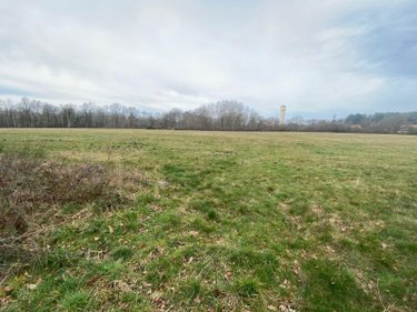 Terrains de loisirs bois etangs a vendre Theillay 41300 Loir-et-Cher 31200 m2  126480 euros