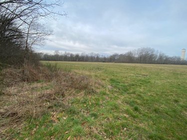 Terrains de loisirs bois etangs a vendre Theillay 41300 Loir-et-Cher 31200 m2  126480 euros