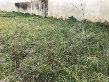 Terrain a batir a vendre Bonnétable 72110 Sarthe 246 m2  13200 euros