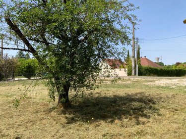 Terrain a batir a vendre Verrières 10390 Aube 653 m2  43500 euros