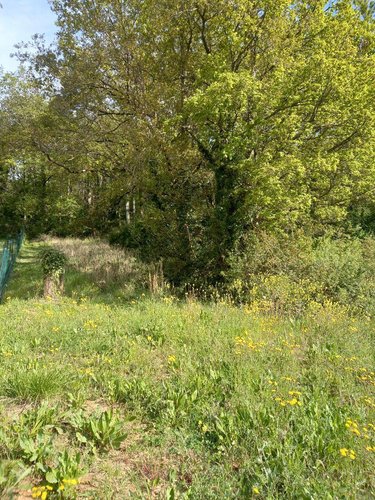 Terrain a batir a vendre La Flèche 72200 Sarthe 1544 m2  25600 euros