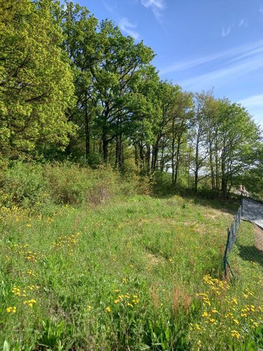Terrain a batir a vendre La Flèche 72200 Sarthe 1544 m2  25600 euros