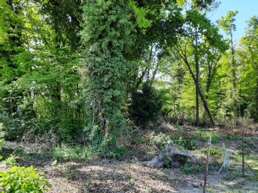 Terrain a batir a vendre Chassemy 02370 Aisne 1340 m2  43000 euros