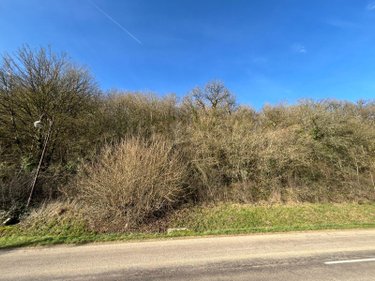 Terrain a batir a vendre Villemorien 10110 Aube 3107 m2  15500 euros