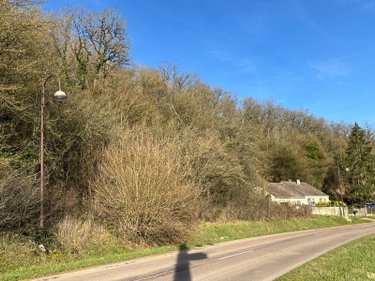 Terrain a batir a vendre Villemorien 10110 Aube 3107 m2  15500 euros