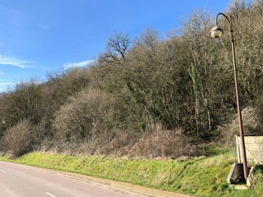 Terrain a batir a vendre Villemorien 10110 Aube 3107 m2  15500 euros