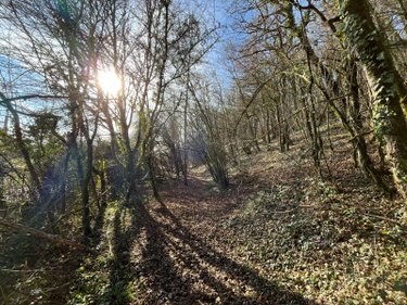 Terrain a batir a vendre Villemorien 10110 Aube 3107 m2  15500 euros