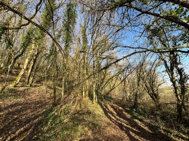 Terrain a batir a vendre Villemorien 10110 Aube 3107 m2  15500 euros