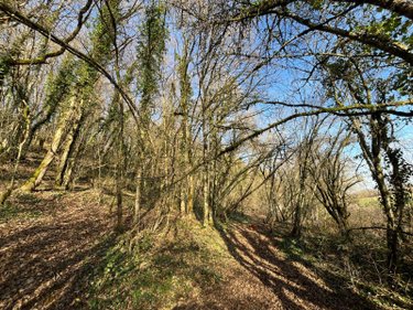 Terrain a batir a vendre Villemorien 10110 Aube 3107 m2  15500 euros