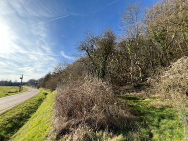 Terrain a batir a vendre Villemorien 10110 Aube 3107 m2  15500 euros