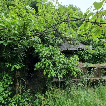 Maison a vendre Saint-Loup-du-Gast 53300 Mayenne 105 m2 7 pièces 124800 euros