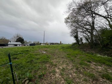 Terrain a batir a vendre Baguer-Pican 35120 Ille-et-Vilaine 1319 m2  64697 euros
