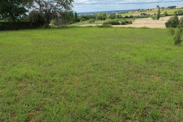 Terrain a batir a vendre Châtellerault 86100 Vienne 954 m2  43000 euros