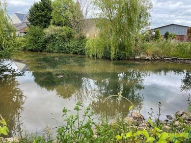 Maison a vendre Loir en Vallée 72340 Sarthe 340 m2 12 pièces 210000 euros