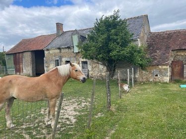 Maison a vendre Loir en Vallée 72340 Sarthe 340 m2 12 pièces 210000 euros