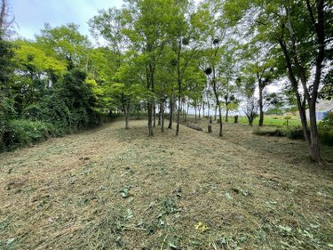 Terrain a batir a vendre Domfront-en-Champagne 72240 Sarthe 2277 m2  28000 euros