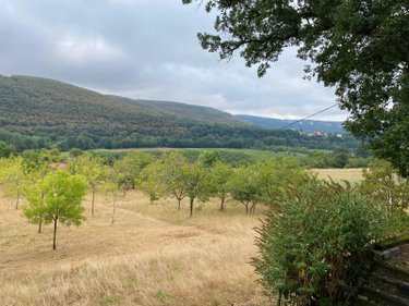 Maison a vendre Cajarc 46160 Lot 104 m2 3 pièces 220680 euros