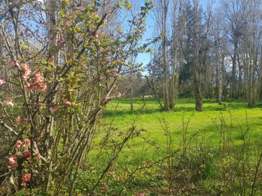 propriete a vendre Maray 41320 Loir-et-Cher 140 m2 6 pièces 168640 euros