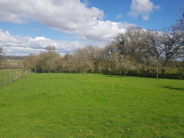 propriete a vendre Maray 41320 Loir-et-Cher 140 m2 6 pièces 168640 euros