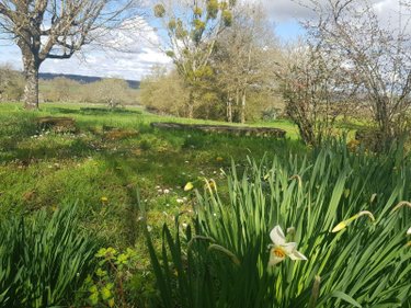 propriete a vendre Maray 41320 Loir-et-Cher 140 m2 6 pièces 168640 euros