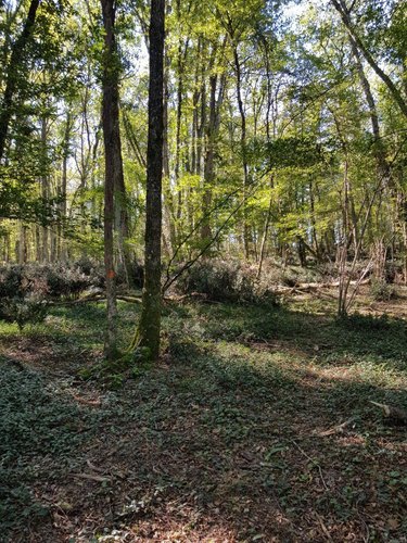 propriete a vendre Maray 41320 Loir-et-Cher 140 m2 6 pièces 168640 euros