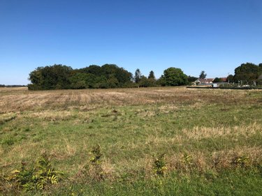 Terrain a batir a vendre Montierchaume 36130 Indre 1347 m2  43000 euros