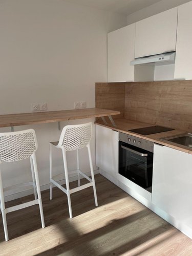 Location appartement Roubaix 59100 Nord 35 m2 2 pièces 550 euros