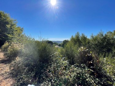Terrain a batir a vendre Leyme 46120 Lot 4281 m2  29000 euros