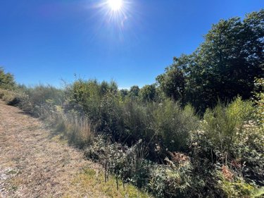 Terrain a batir a vendre Leyme 46120 Lot 4281 m2  29000 euros