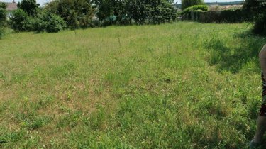 Terrain a batir a vendre Thuré 86540 Vienne 683 m2  30000 euros