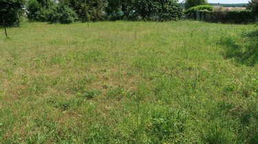Terrain a batir a vendre Thuré 86540 Vienne 683 m2  30000 euros