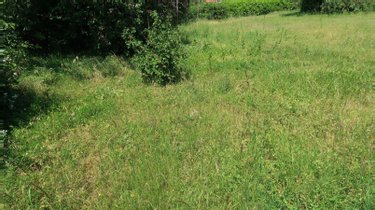 Terrain a batir a vendre Thuré 86540 Vienne 683 m2  30000 euros