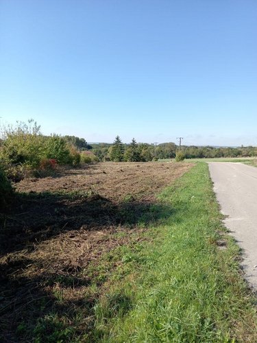 Maison a vendre Mergey 10600 Aube 80 m2 5 pièces 147000 euros