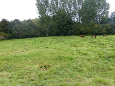 Terrain a batir a vendre Anvin 62134 Pas-de-Calais 1441 m2  37520 euros