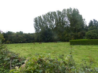 Terrain a batir a vendre Anvin 62134 Pas-de-Calais 443 m2  14440 euros
