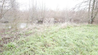 Terrain a batir a vendre Le Châtelet-sur-Retourne 08300 Ardennes 3955 m2  125600 euros