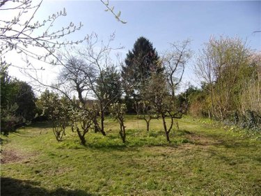 Maison a vendre Vimartin sur Orthe 53160 Mayenne 64 m2 4 pièces 177870 euros