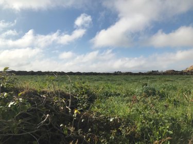 Terrain a batir a vendre Pleyben 29190 Finistère 875 m2  48500 euros