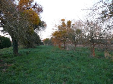 Terrain a batir a vendre Tréfumel 22630 Côtes-d'Armor 900 m2  22400 euros