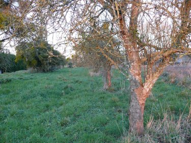 Terrain a batir a vendre Tréfumel 22630 Côtes-d'Armor 900 m2  22400 euros